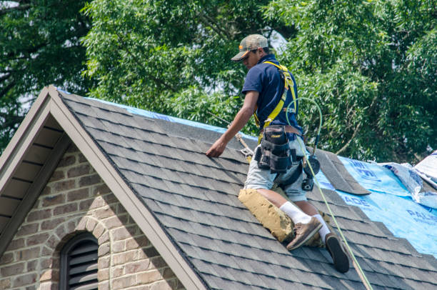 Best Roof Leak Repair  in Ballard, UT